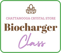 Chattanooga Crystal Store BioCharger Class
